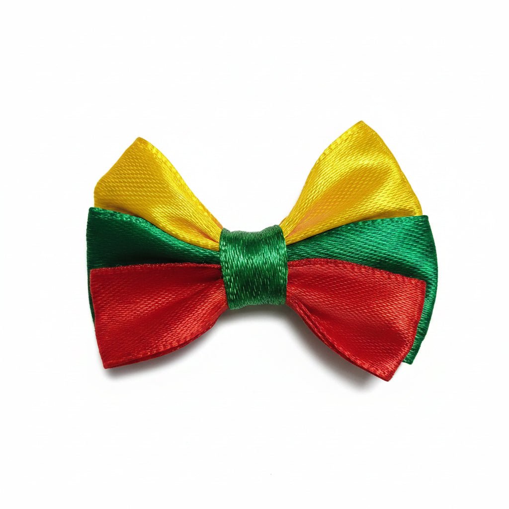 Rankų darbo drabužiu segtukas su LT trispalvė - Photini Shop